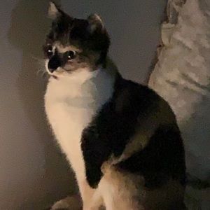 Meet your Posher, Lynae